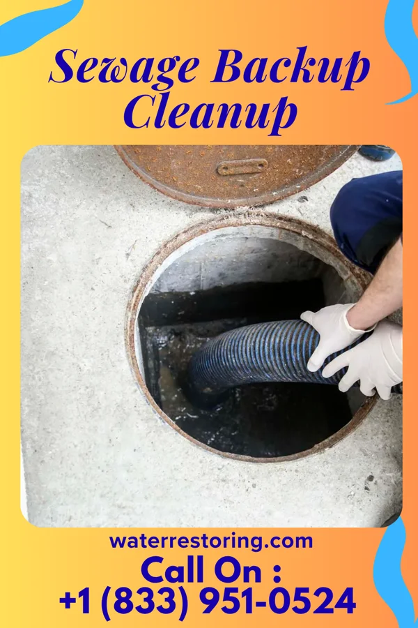 Sewage Backup Cleanup in New Hope, MS