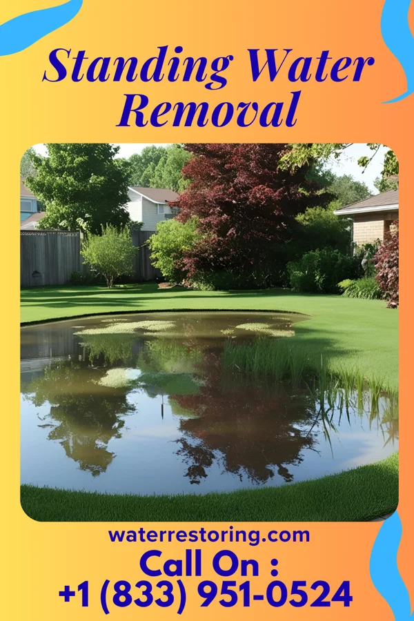 Standing Water Removal in New Hope, MS